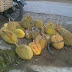 Manfaat vitamin dalam buah durian