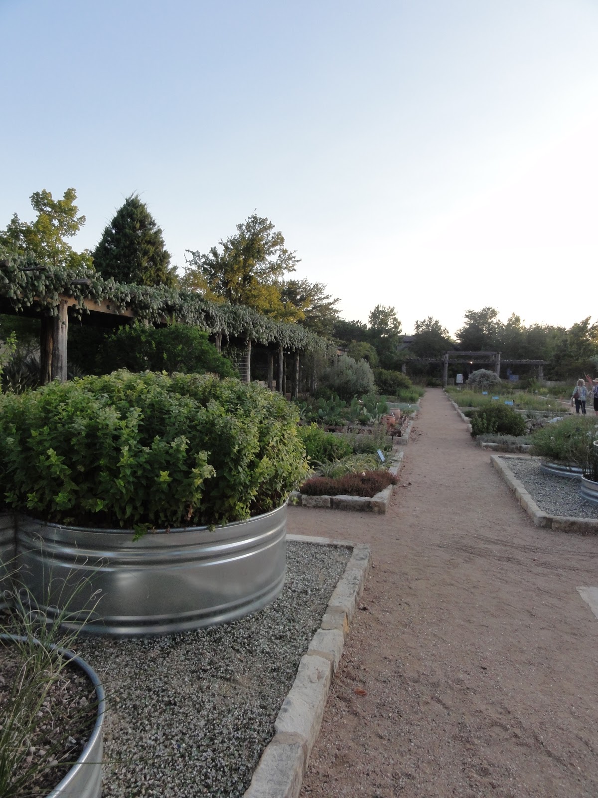 Austin Top 50 Fun in the Sun Nature Nights at the Wildflower Center