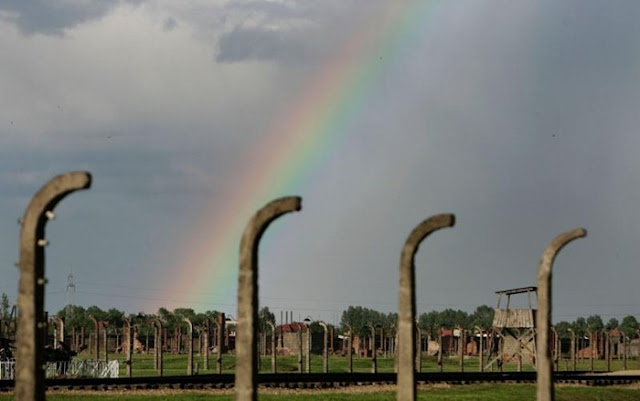 Campos de la Muerte de Auschwitz