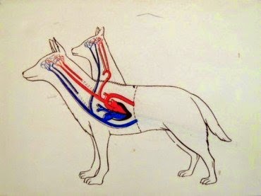 siradisi olaylar ve gizlenen gercekler