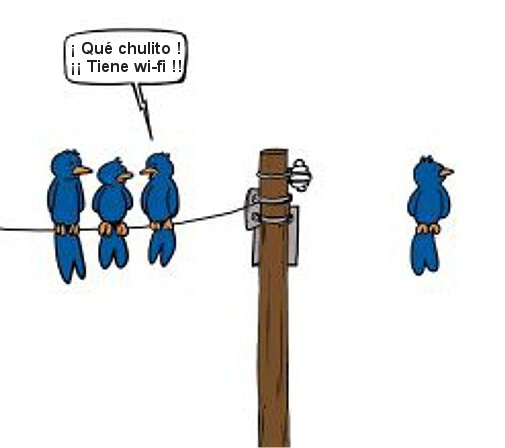 humor grafico pajaros