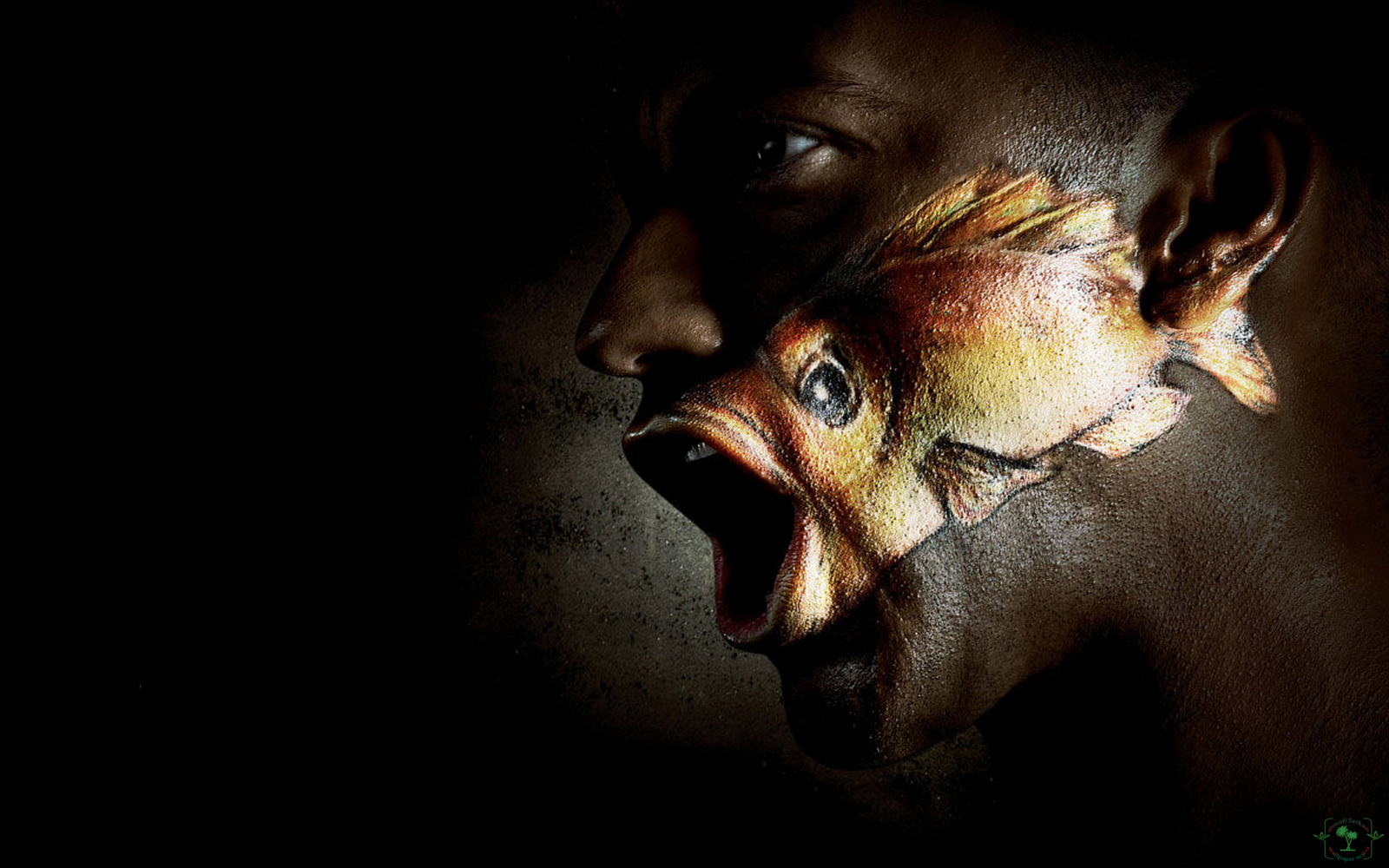 http://2.bp.blogspot.com/-CMLVYVcxClk/UI6mCgqx_jI/AAAAAAAABWM/onpFeyc8YlA/s1600/bal%C4%B1k+d%C3%B6vme+wallpaper.png
