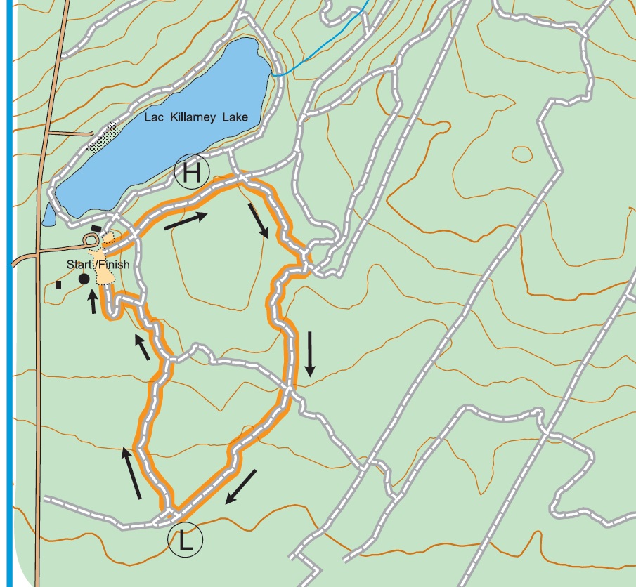 UNB Woodlot Ski Conditions Killarney Lake Trails