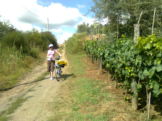 via francigena bike tour