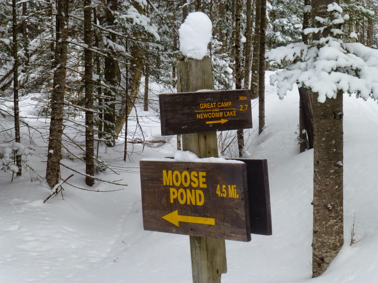 Off on Adventure XC to Moose Pond High Peaks Wilderness, 2