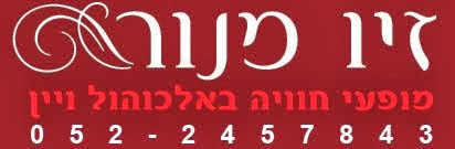 ברוכים הבאים לבלוג של זיו מנור