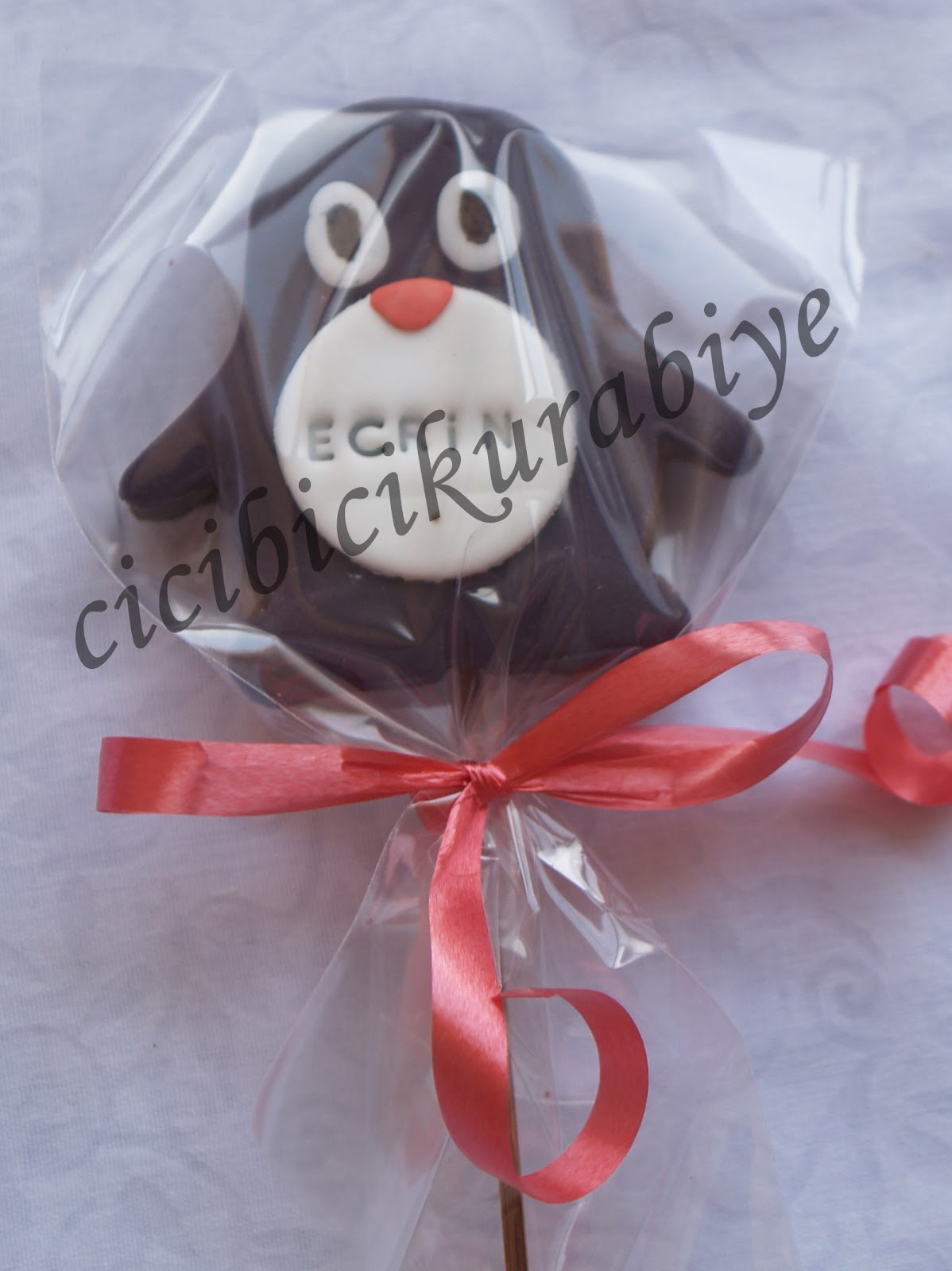 Cici Bici Kurabiye &amp; Cupcake &amp; Pasta İzmit Ecrin�in Doğum Günü