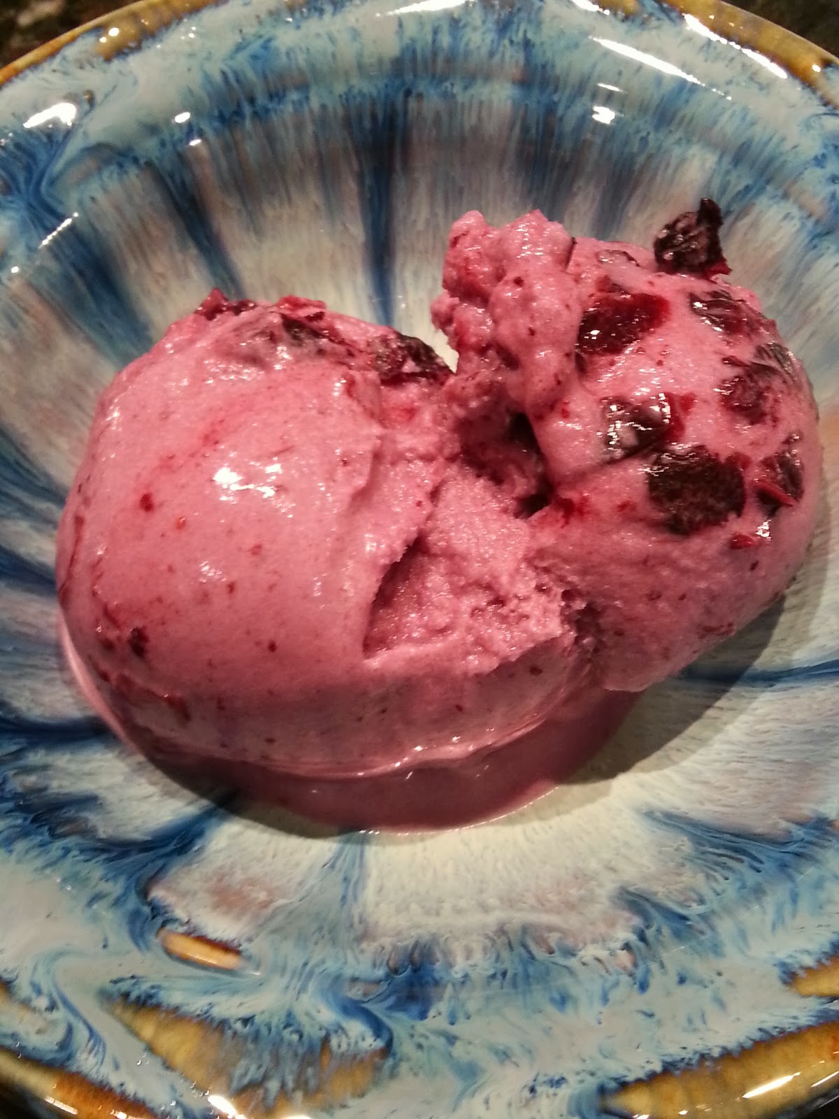 Sue's Kitchen Digest Coconut Milk Blueberry Jam Ice Cream