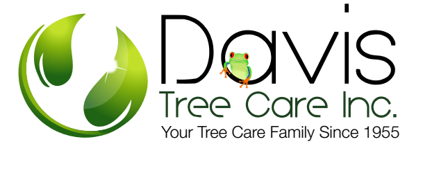 Davis Tree Care