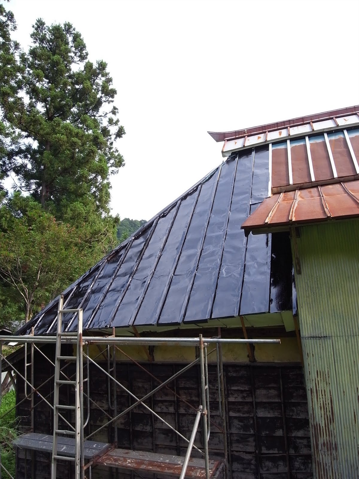 12の木物語 コールタール