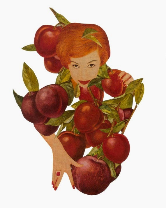 Dadadreams' Original Collage Art Fruit Art Collage