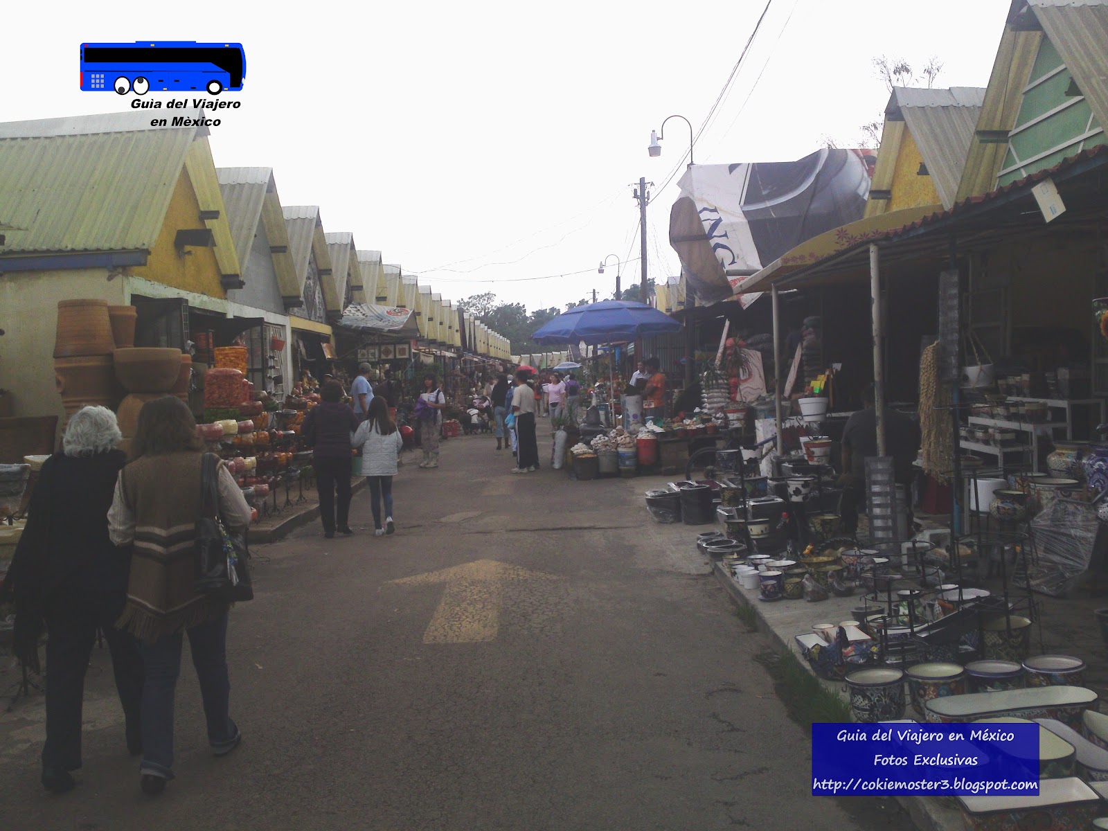 Guía del Viajero en México Mercado de Plantas de Xochimilco