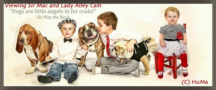 Life of Sir Mac and Lady Alley