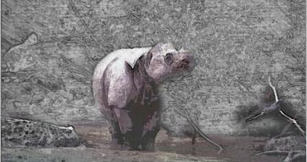 Essay on extinction of animals