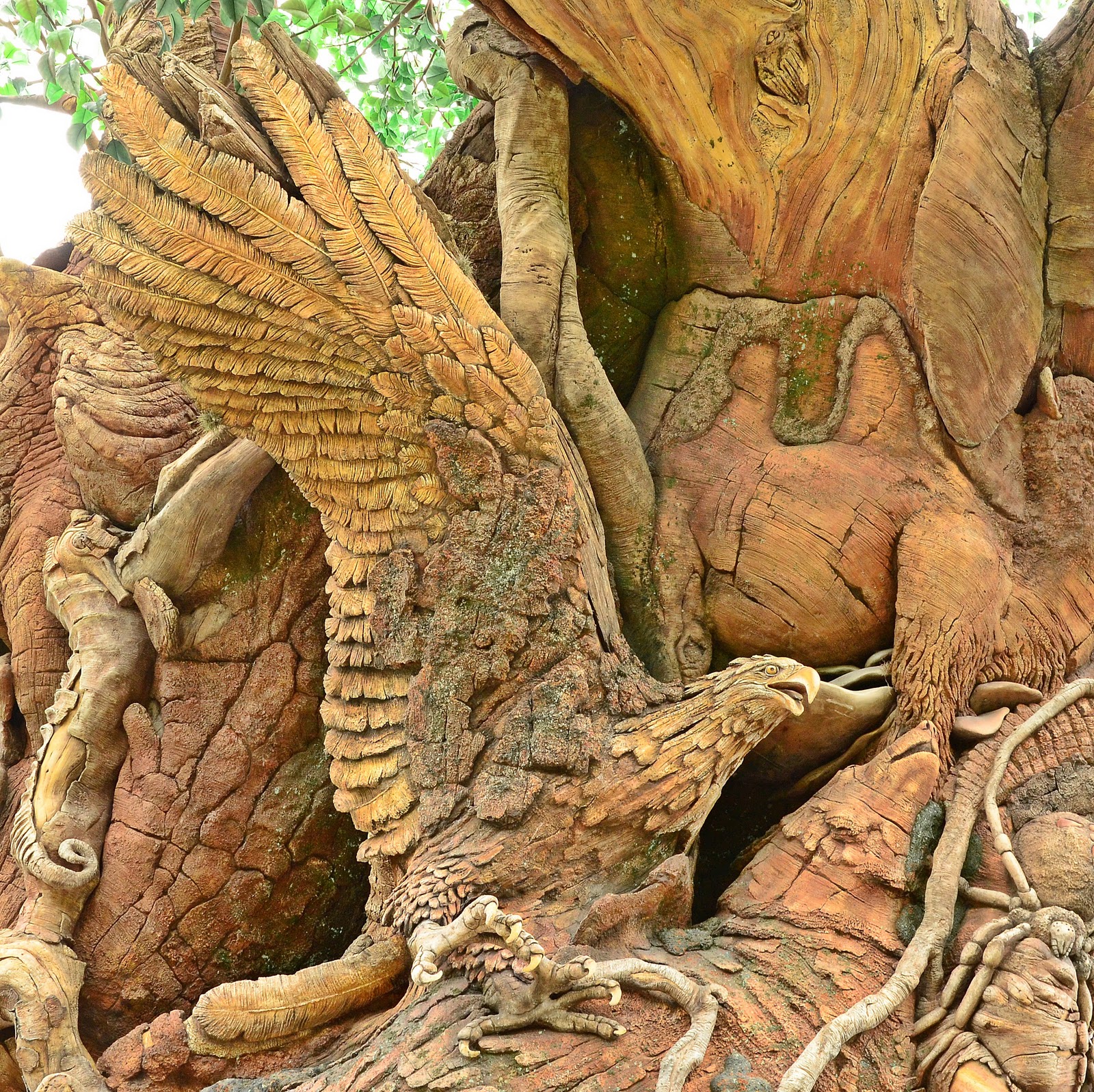 Dina's City Wildlife Adventures: Disney sights at Animal Kingdom