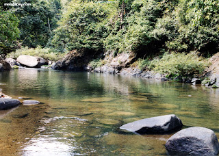 ilog ng buhay