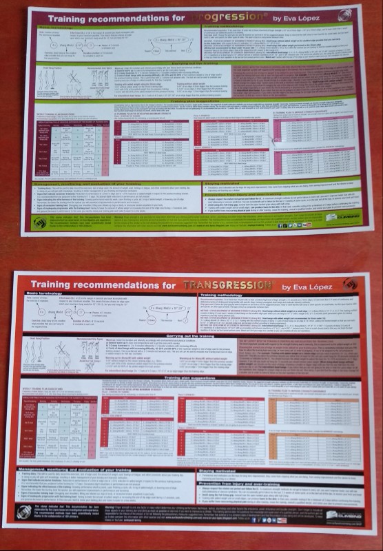 Order your Fingerboard training guide in format poster