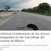 Monos saraguatos son atropellados en las carreteras del Sureste: Change.org