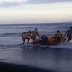 セルカットビーチで中国人３人が潮流に流され２人救出