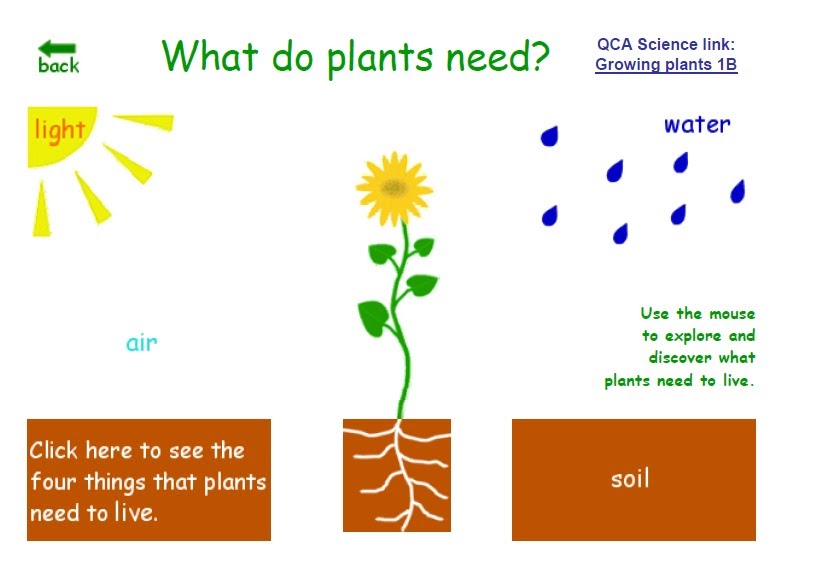 Artero children's blog UNIT 7 PLANTS NEEDS