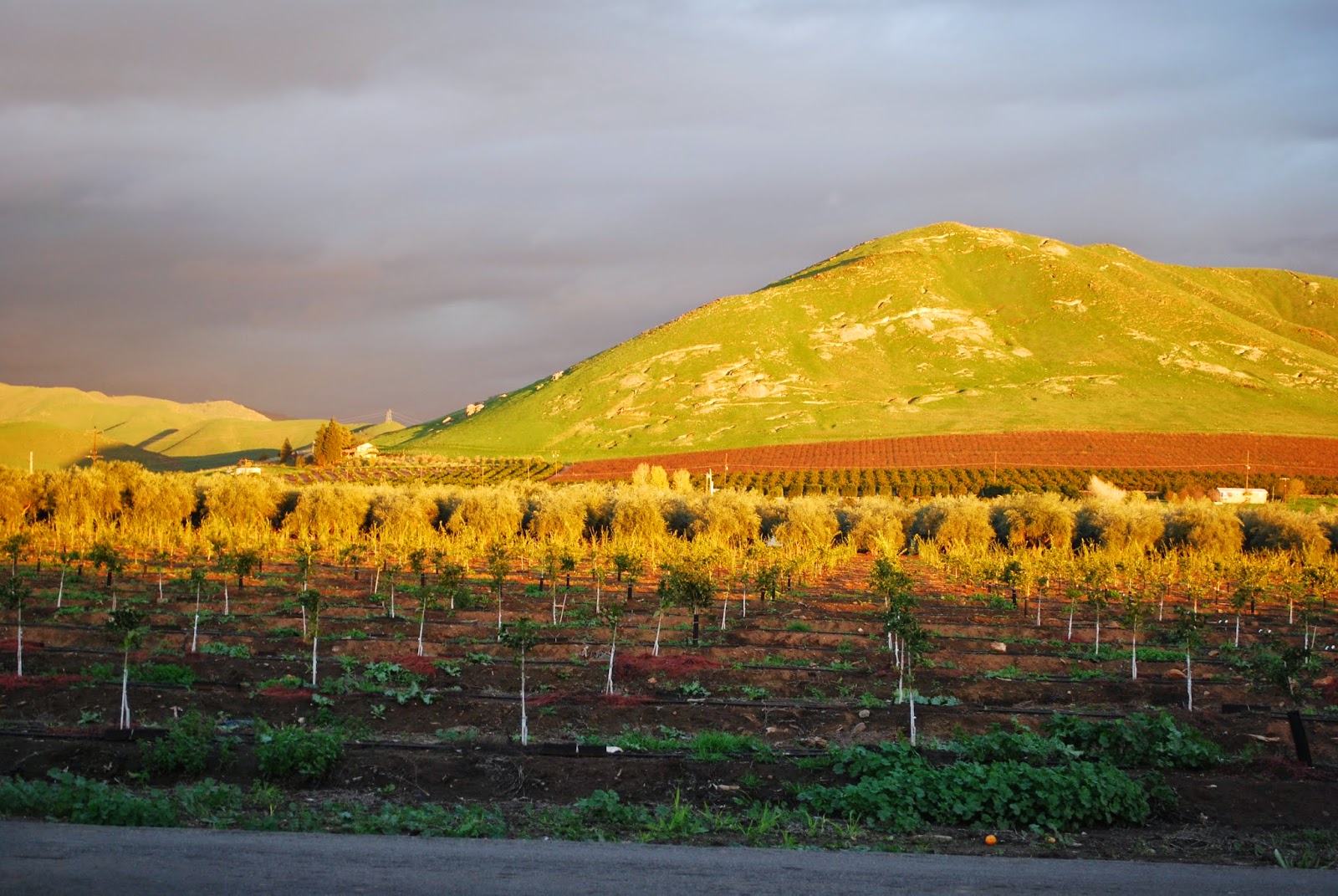 Morning stairs Shirley's Art House Causeway Bay, Hong Kong