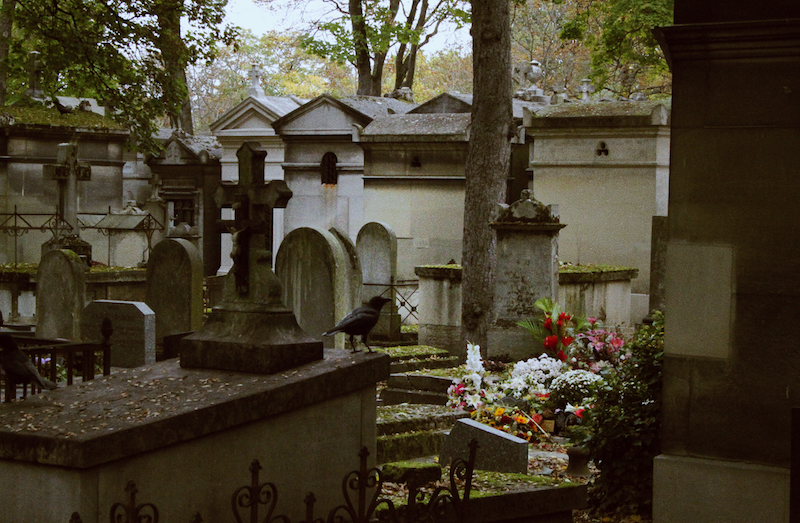 cimetiere pere lachaise corbeau fleurs