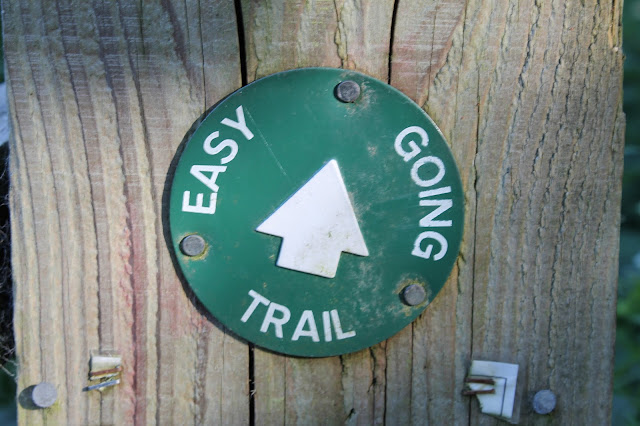 Tips for starting trail running