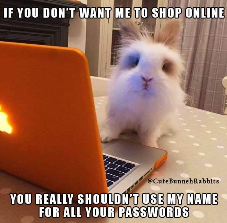 Rabbit Ramblings: Funny Bunny Monday Meme*day