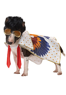صور كلاب مضحكة Most-funny-dog-costumes+(17)