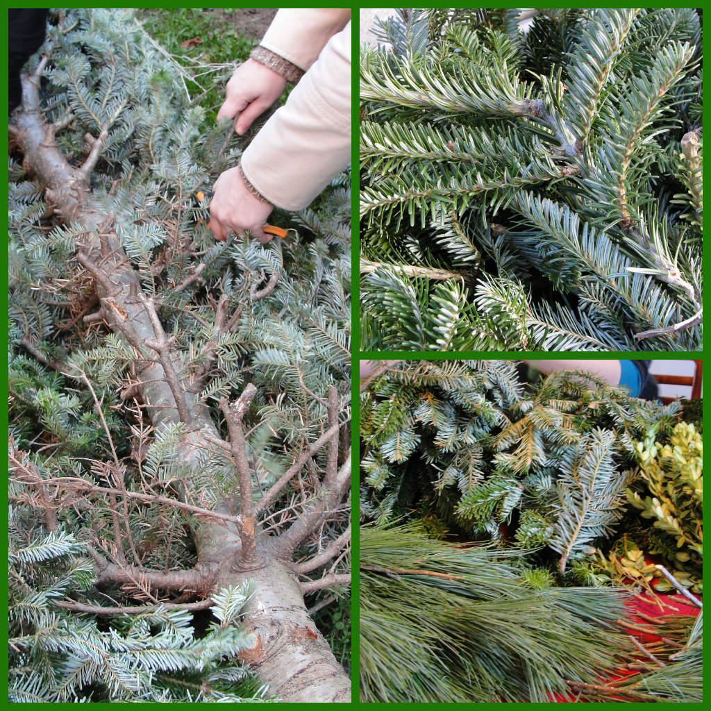 How to Transform a Christmas Tree into a Holiday Wreath