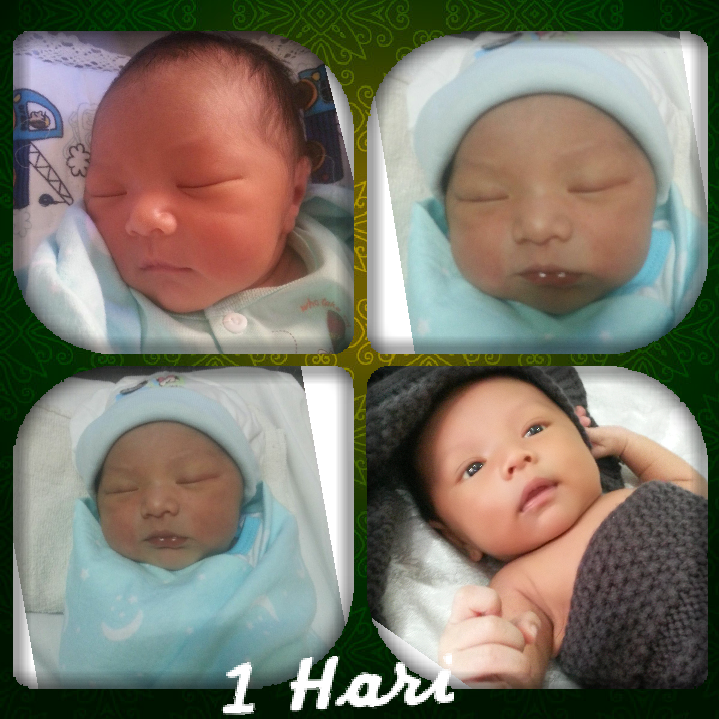 Syed Arfi 1 hari