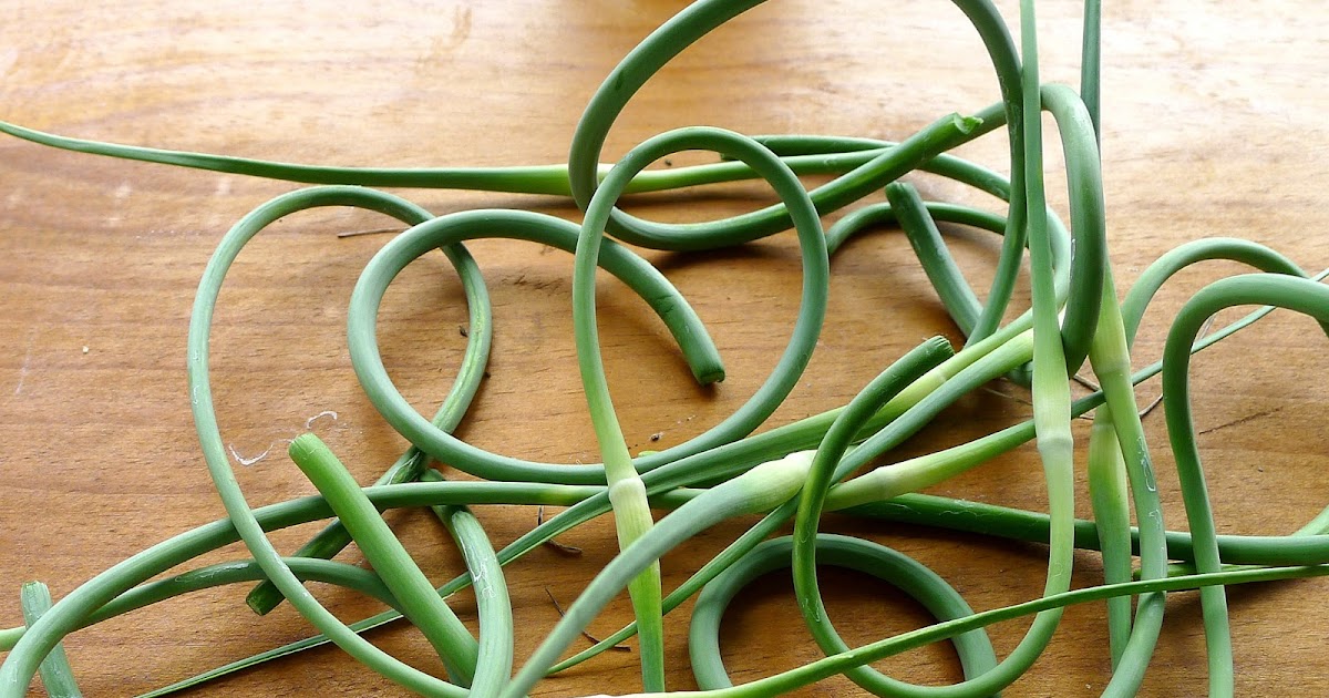 MY KITCHEN IN SPAIN THE GARLIC ESCAPADES