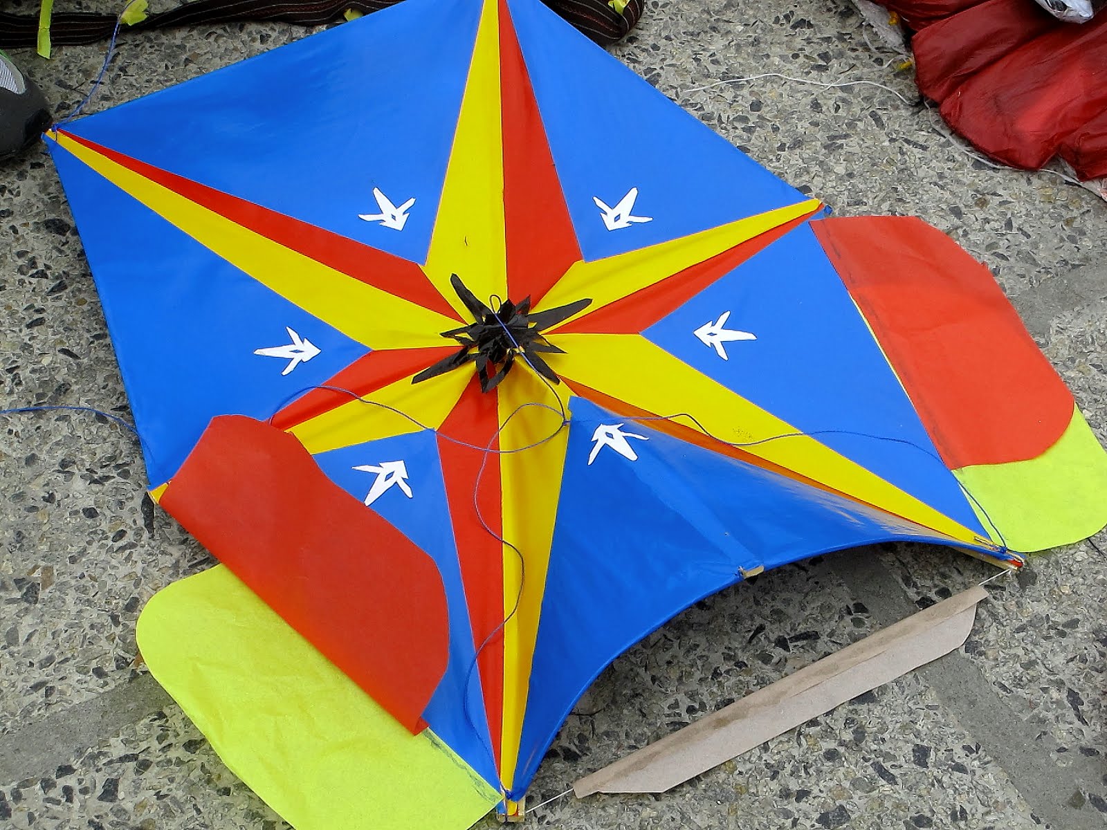 The Adventures of Andrea and Salvador KITES, KITES EVERYWHERE