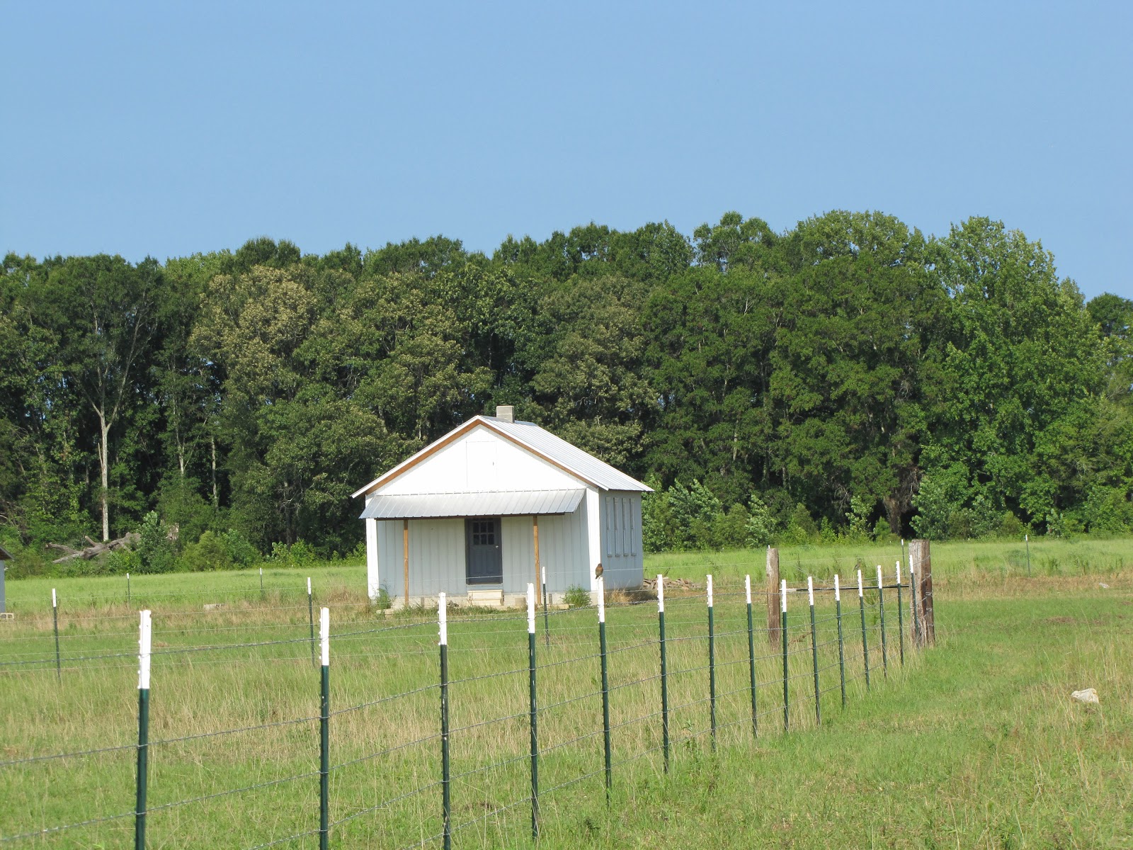 Amish in Stantonville, Tennessee