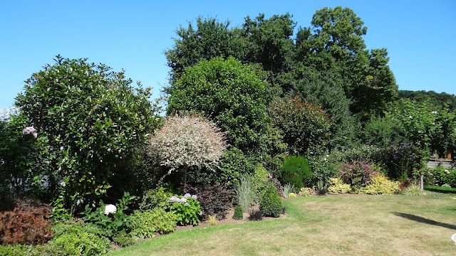 Promenade Au Jardin De Lili Dans Le Poitou Mars 2017
