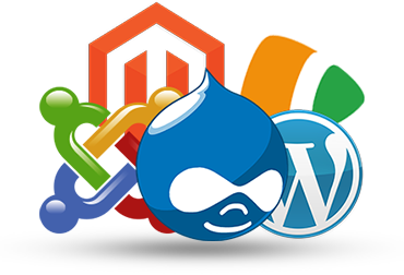 Apa itu CMS? | Long Scripts