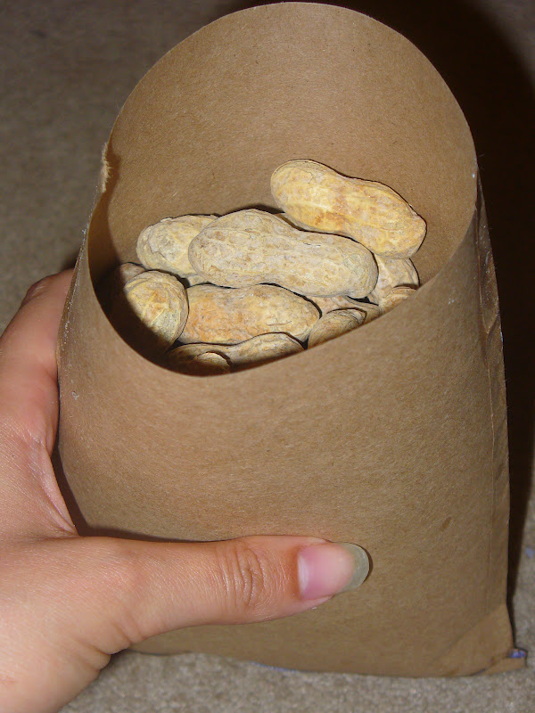 Battle of the bags essay 07 image