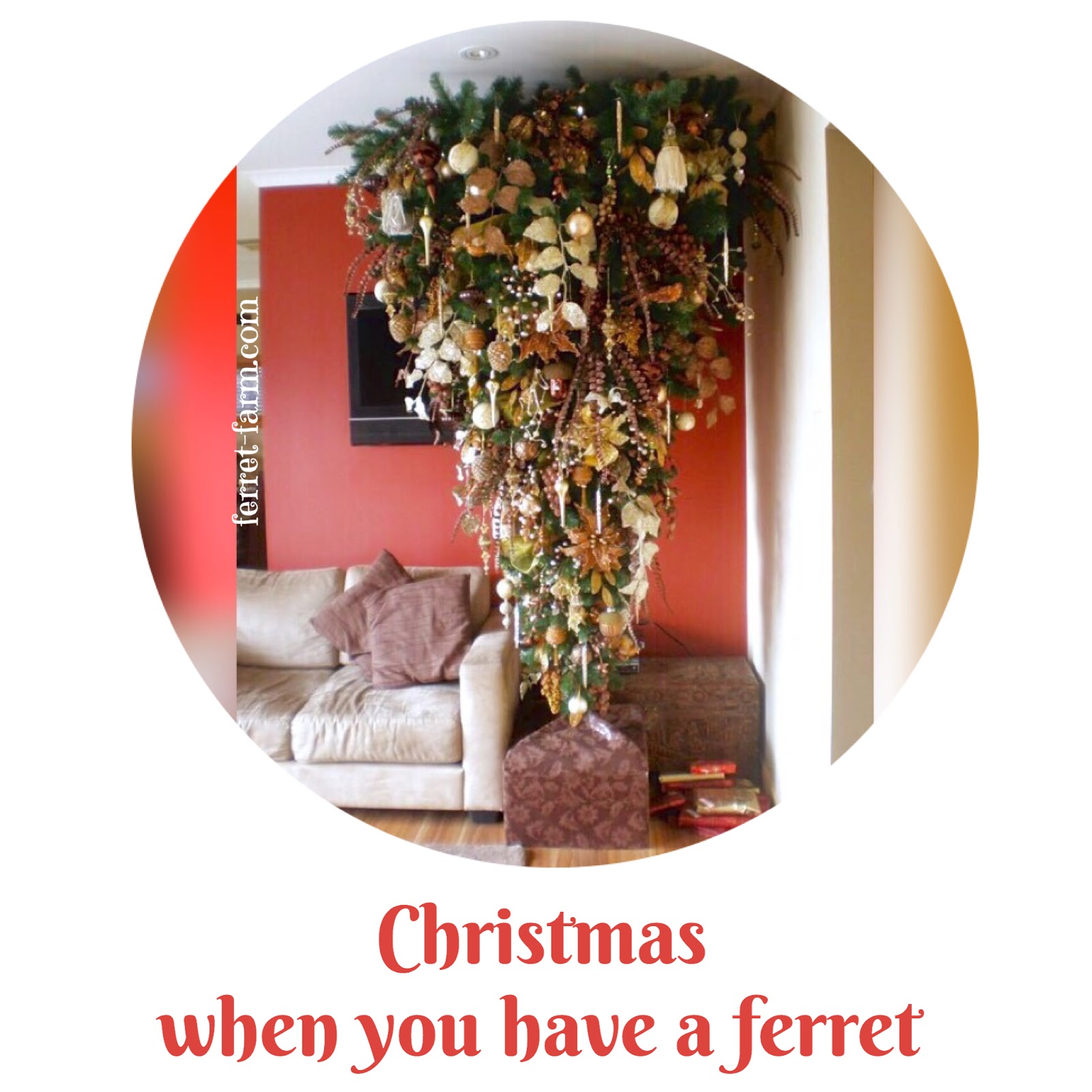 7 ways to protect a Christmas tree from your ferret