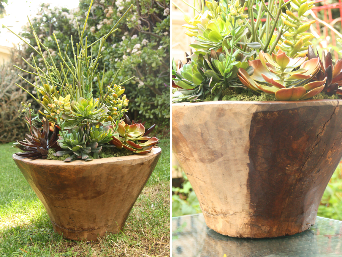 paiges of style Bringing Wood Back to Life with Olive Oil