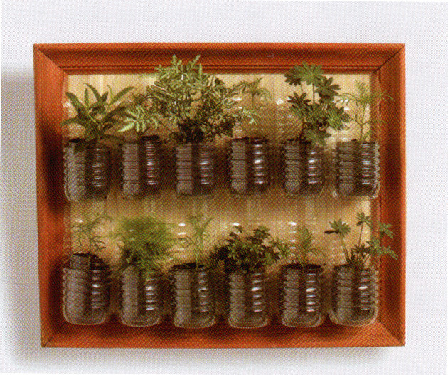 plantas para jardim vertical de garrafa pet:Plastic Bottle Herb Garden plantas para jardim vertical de garrafa pet:Plastic Bottle Herb Garden