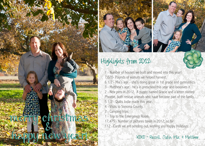 family newsletter christmas card funny christmas card
