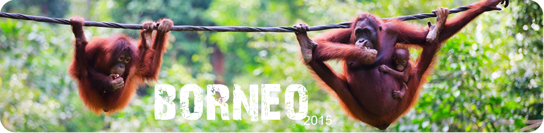 Borneo 2015