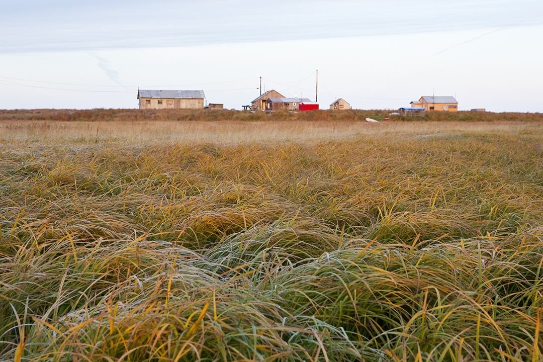 Capturing Alaska And Beyond! Quinhagak, Alaska