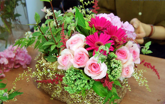 [Image: cam-gio-hoa-sac-hong-lang-mang-5.jpg]