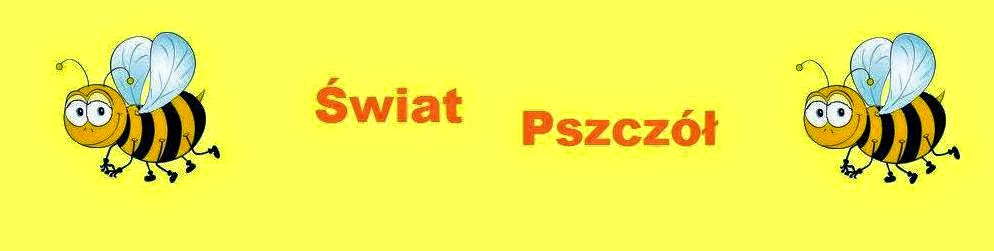 świat pszczół czyli pszczelarstwo hobby