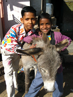 tom spooner photograph india