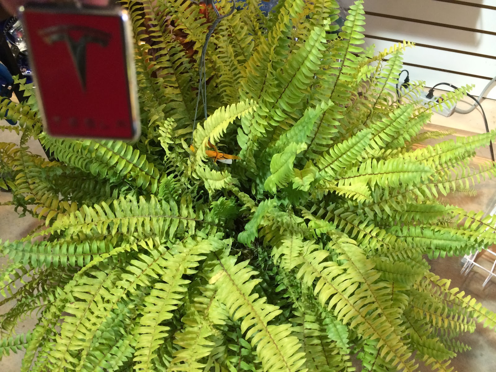 JHS AP Biology Big Idea 1