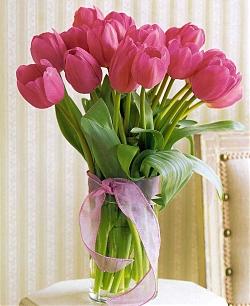 Flowers Pink Bouquet