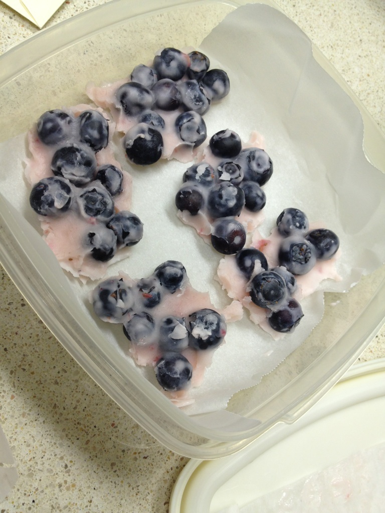 Kristin's Kitchen Blueberry Yogurt Bark