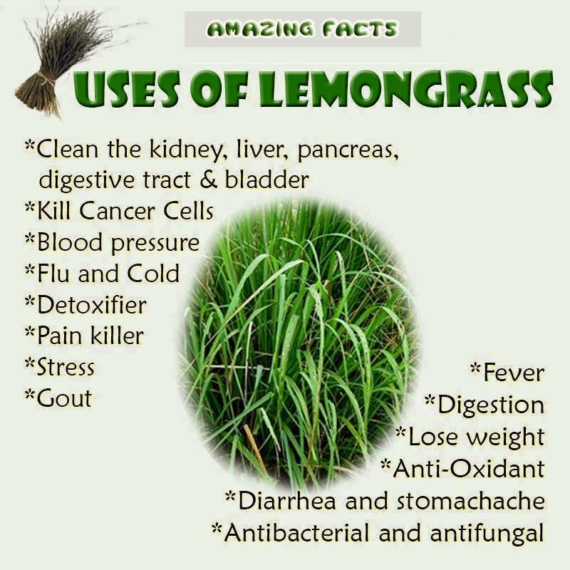 Set Apart Living Lemongrass Essential Oil